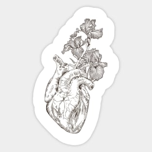 Heart with Flowers Sticker